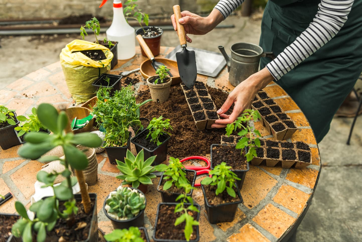 Asesoramiento en jardinería