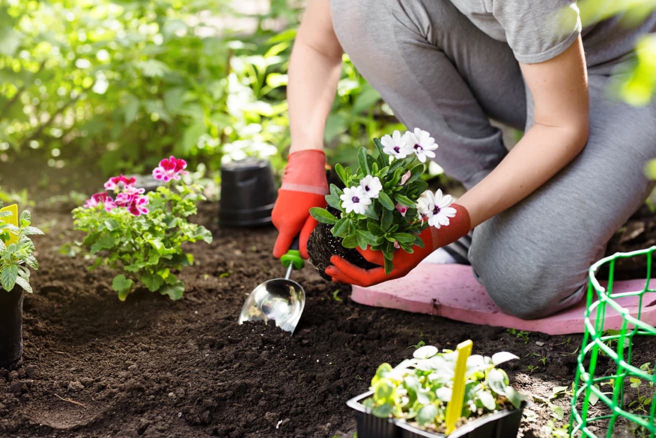Jardineros profesionales y cualificados