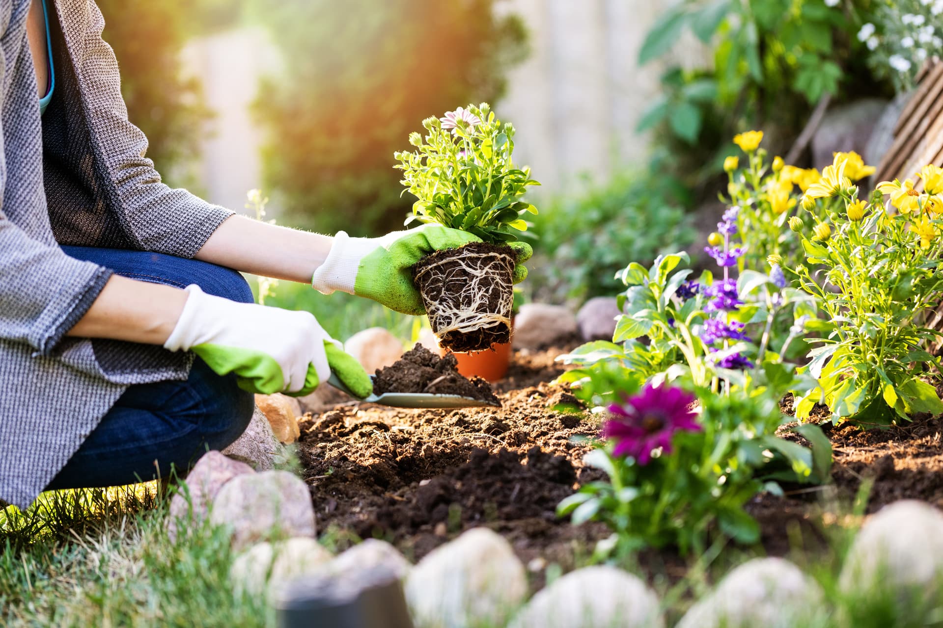 Productos de jardinería