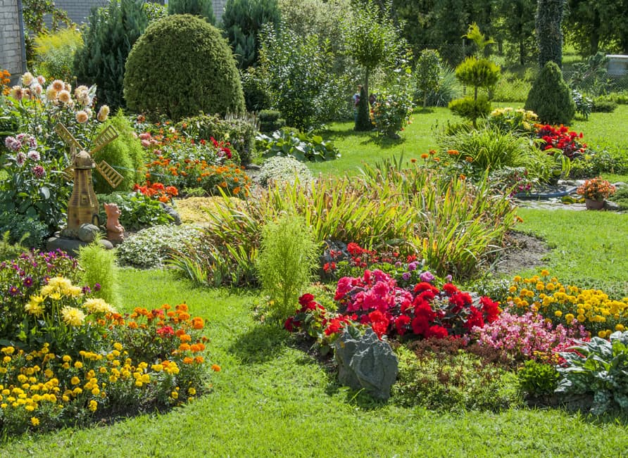 Lo mejor en productos de jardinería